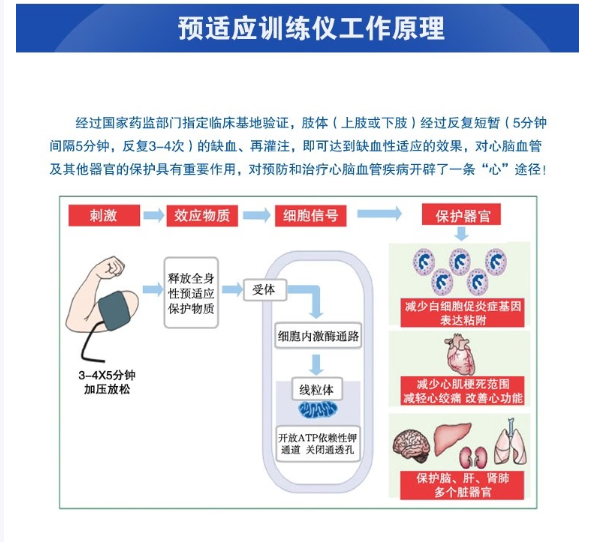微信图片_20251013181023_127_2.png